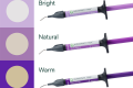 Solventum™ Filtek™ Easy Match Flowable Restorative Bright